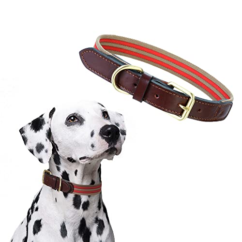 Mile High Life | Premium Canvas Leder-Hundehalsband | Metall-Pin Schnallenring Hundehalsband | Echtes Ledergürtel Halsband | für mittlere/Große Hunde (L, rot) von Mile High Life