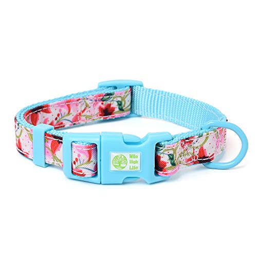 Mile High Life | Tropische Früchte Sommer Kollektion | Weiches Poly-Baumwoll-Gewebe | Weibliche Hundehalsbänder | Schleifenhalsband | Bandana von Mile High Life