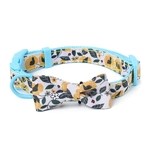 Mile High Life | Tropische Früchte Sommer Kollektion | Weiches Poly-Baumwoll-Gewebe | Weibliche Hundehalsbänder | Schleifenhalsband | Bandana von Mile High Life