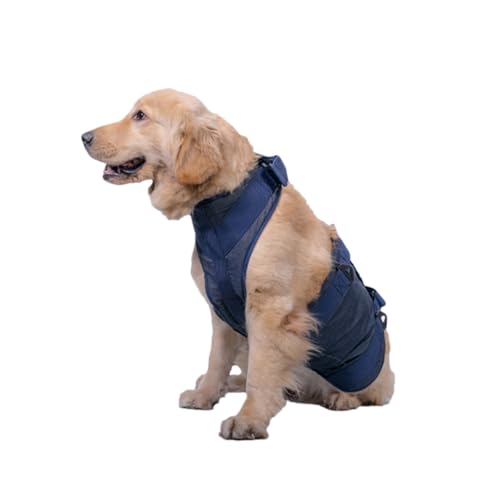 Haustier-Zuggurt Hilfsgürtel für Haustiere Hund hilfsgurt Hundebesitzer hundepflege Dog Costume Hunde erziehung hundetraining Dog Lead medizinischer gürtel für Hunde Blue MILISTEN von Milisten