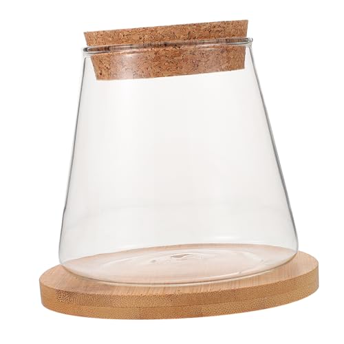 MILISTEN 1 Satz Hydroponisches Aquarium Aus Glas Bambusmatte Vase Glasbehälter Glasterrarium Eincremehilfe Links Micro-landschafts-DIY-Flasche Fischglas Glastöpfe Für Pflanzen Holz von Milisten