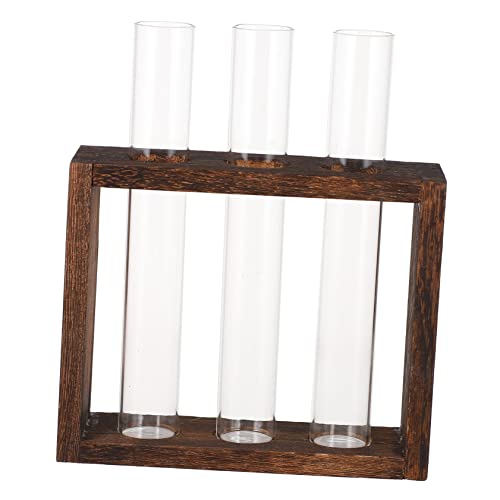 MILISTEN Blumenvase Röhrenpflanze Terrarium-Set Luftpflanze Glas-pflanzgefäß für Wohnzimmer Mini-hydroponik-pflanzendekor von Milisten