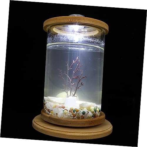 MILISTEN 1 Set Desktop Micro View Aquarium Künstliche Pflanzen Aquarium Mini Aquarium Hydrokultur Betta Desktop Set Betta Aquarium Betta Aquarium Dekoration Hundekiste Glas von Milisten