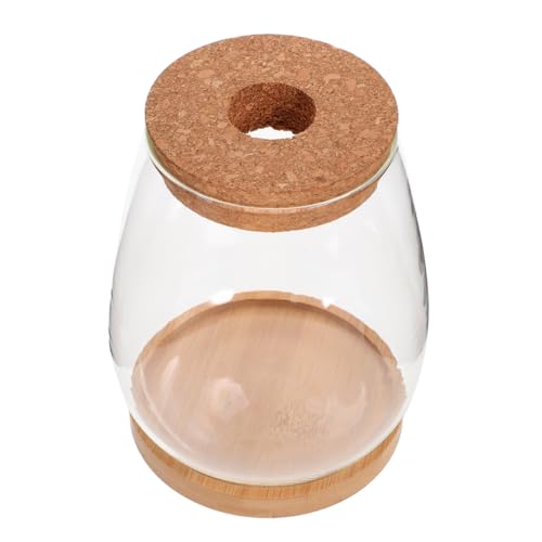MILISTEN 1 Set Hydrokultur Blumentopf Töpfe Für Pflanzen Pflanzen Terrarium Transparente Flasche Terrarium Glasbehälter Moos Terrarium Pflanzenbehälter Terrarium Pflanzen MILISTEN 1 Set Hydrokultur Blumentopf Töpfe Für Pflanzen Pflanzen Terrarium Transparente Flasche Terrarium Glasbehälter Moos Terrarium Pflanzenbehälter Terrarium Pflanzen von Milisten