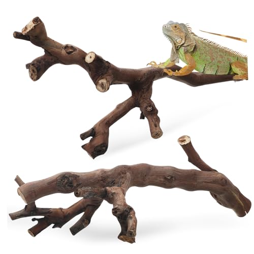 MILISTEN 2 STK Zweig Dekoration Reptilienzubehör Kletterdekor Reptilienholz Kletteräste für Echsen Geckozubehör Schlange Terrarium Dekor Aquarium-Zweig Aquarium-Dekor hölzern Light Brown von Milisten