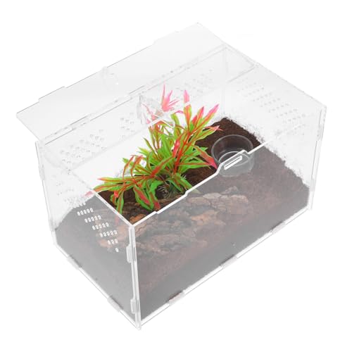 MILISTEN 2St transparentes Terrarium Acryltank Spinnen-Terrarium Schlangenkäfig Reptilienterrarium Reptilien aus Acryl gehäuse 60 Gallonen Reptilienbecken Schildkrötenterrarium von Milisten