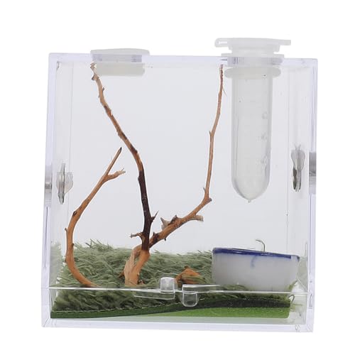 MILISTEN Terrarium Insekten 3 Sätze Springspinnen-zuchtbox Insektenhäuser Mini Terrarium Insektenhaus Lebensraum Geckos-käfig Mini-luftbefeuchter Tier Insekten Lebensraum Spinnenkäfig Acryl von Milisten