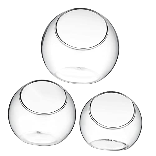 MILISTEN 3pc Glas Pflanzer Schüssel Air Plant Es Schüssel Für Pflanzen Glas Terrarium Container von Milisten