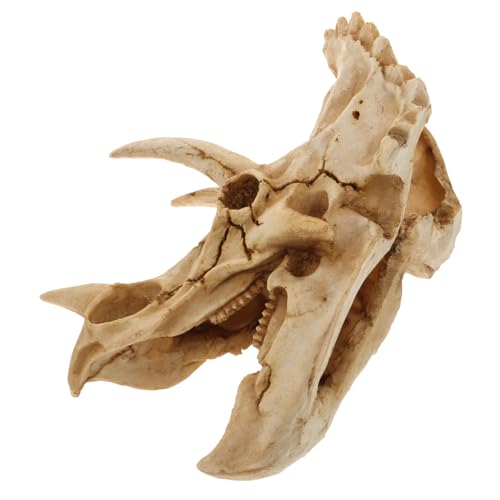 MILISTEN Triceratops Schädel 3 Stück Versteck Hauskran Für Aquarium Eidechsen Tank Aquarium Schädel Ornament Höhle Aquarium Reptilienhaus Reptilienhöhle Schildkröte Aquarium Zubehör Schildkröten von Milisten