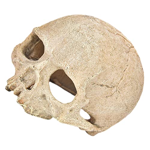 MILISTEN Aquarium Skull Dekoration Harz Kopf Unterschlupf für Reptilien und Fische Hiding Cave Ornament für Fischbecken und Terrarien Stilvolle Aquariengestaltung und Tischdekoration MILISTEN Aquarium Skull Dekoration Harz Kopf Unterschlupf für Reptilien und Fische Hiding Cave Ornament für Fischbecken und Terrarien Stilvolle Aquariengestaltung und Tischdekoration von Milisten