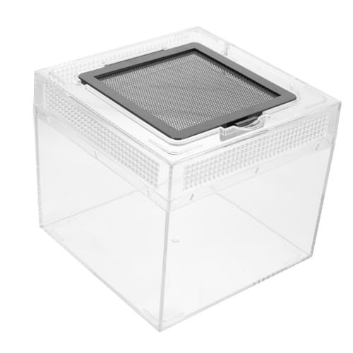 MILISTEN Box Transparente Reptilienbox Hamstertank Eidechsentank Spinnenterrarium Vogelspinnengehege Futterinkubator Schildkrötentank 4X2X2 Reptiliengehege Spinneninkubator Reptilienöl von Milisten