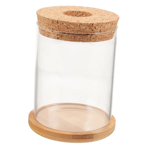 MILISTEN Fischbecken Aus Glas Dekoratives Goldfischglas Desktop- Behälter Für Hydroponische Pflanzen Hydrokulturpflanzen Terrarium Kleines Terrarium Schale Vase Einmachglas Transparent von Milisten