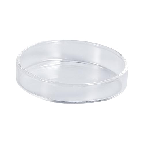 MILISTEN Garnelenfutterschale aus Glas Süßwasser-Tray-Futter durchsichtige Fischbehälter-Futterschale Wurmfutterbecher Fish Tank Feeding Bowl Futternapf Futterbecken für Garnelen von Milisten