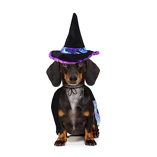 MILISTEN Halloween-Kostüm für Haustiere Dog Costume Hunde kostüme cat Costume hundekleidung Haustiere Halloween-Overall Halloween-Hundekostüm Haustieranzug Katzenkleidung Baumwolle Violett von Milisten