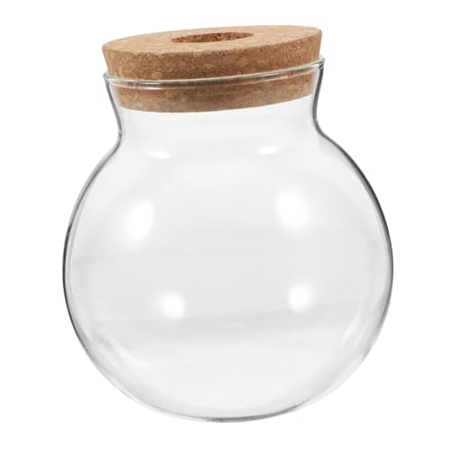 MILISTEN Mikro Landschaftsflasche Glas Hydrokulturbehälter Fischvase Farn Terrarium Glas Vermehrungsstation Runde Glasvase Glas Terrarium Für Pflanzen Transparentes Holz von Milisten