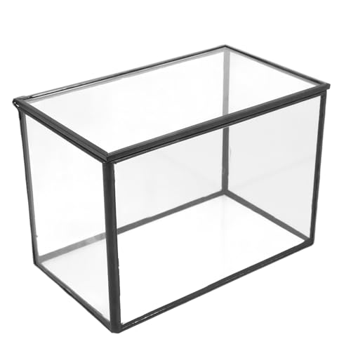 MILISTEN Leere Glas-Terrarium-Box Pflanzen-Terrarium Geeignet für Garten Büro von Milisten