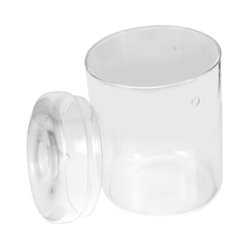 MILISTEN Moos Terrarium Glühbirne Vase Pflanze Flasche für Tisch Landschaft Container von Milisten