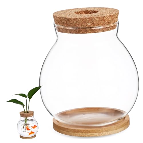 MILISTEN buchregal Dekoration bürodeko Terrarium Bücherregal-Dekoration wassercontainer Goldfischbecken Behälter System Luft Bambusmatte blumenbank Desktop-Aquarium Couchtisch-Aquarium Glas von Milisten