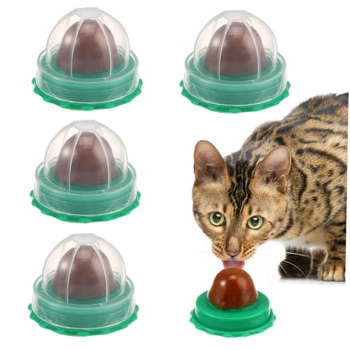 Milisten Cat Energy Ball 15 Stück Katzenbonbons Zum Lecken Leckspaß Lecksüßigkeit Haustier Snack Wand Katzenminze Zuckersnacks Leckereien Katzenleckball Katzenminze Lutscher Katzenminze von Milisten