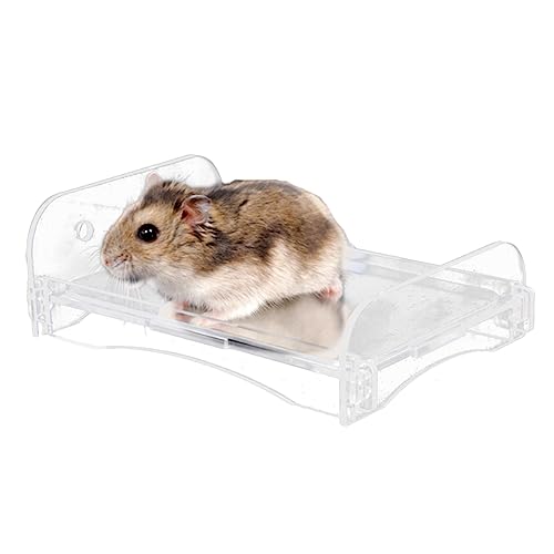 Milisten 1stk Kaninchen Kühlplatte Kühlmatte Für Kleintiere Hamstermatte Kaninchenmatte Für Käfig Hamsterbett Hamster-schlafmatte Futter Für Meerschweinchenkäfige Kühlplatte Aus Acryl von Milisten