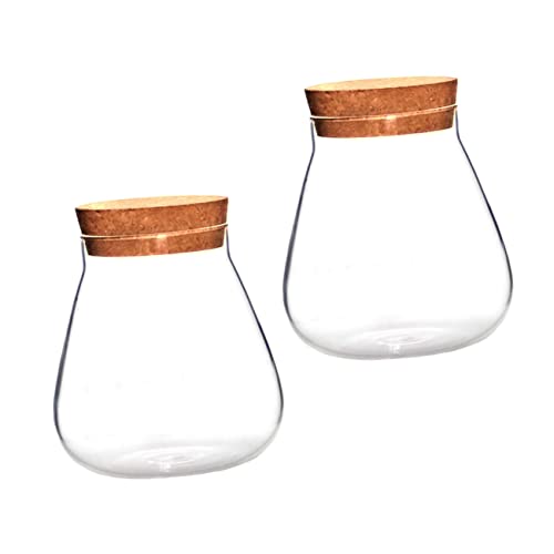 Milisten 2St Flasche aus Korkglas Gewürzdosen mit Etiketten Anlage Schüssel Diffusor Terrarienglas aufbewahrungs gläser kaminregal Flur klares Terrarium Mikro-Landschaftsflasche Holz Brown von Milisten