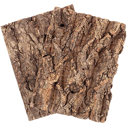 Milisten 2pcs Schildkröte Aquarium Dekoration Baum Rinde Hintergrund Reptil Verstecken Schlange Verstecken von Milisten