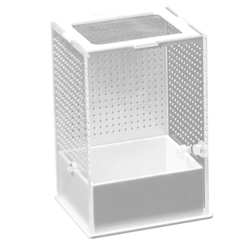 Milisten Kasten Mantis -Fütterungsbox Reptilienkäfig für den Haushalt Insekten -Terrarium durchsichtige Boxen für Haustierspinnen Schlangenkäfig klare Futterboxen Acryl Milisten Kasten Mantis -Fütterungsbox Reptilienkäfig für den Haushalt Insekten -Terrarium durchsichtige Boxen für Haustierspinnen Schlangenkäfig klare Futterboxen Acryl von Milisten