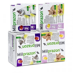 Milprazon Entwurmungsmittel für Katzen und Kätzchen (0,5 - 2 kg) 2 x 4 Tabletten von Milprazon