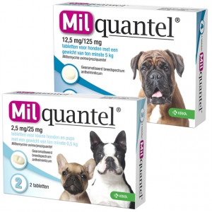 Milquantel Entwurmungstabletten für den Hund Hund 5+ kg 2 x 4 Tabletten von Milquantel