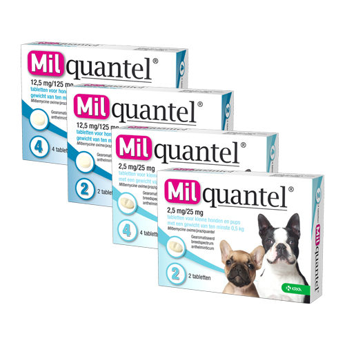 Milquantel Hund (12,5 mg) - 2 Tabletten von Milquantel