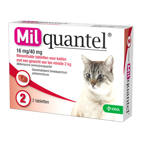 Milquantel große Katze (16 mg) - 2 Tabletten von Milquantel