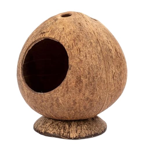 Mimoqk Hamsterhütte, 13,5 x 11,9 cm, kippsicherer Boden, kaufest, Höhlengehege, Anreicherungskäfig für Chinchilla, Igel, Rennmaus, Häschen, kleine Haustiere Mimoqk Hamsterhütte, 13,5 x 11,9 cm, kippsicherer Boden, kaufest, Höhlengehege, Anreicherungskäfig für Chinchilla, Igel, Rennmaus, Häschen, kleine Haustiere von Mimoqk