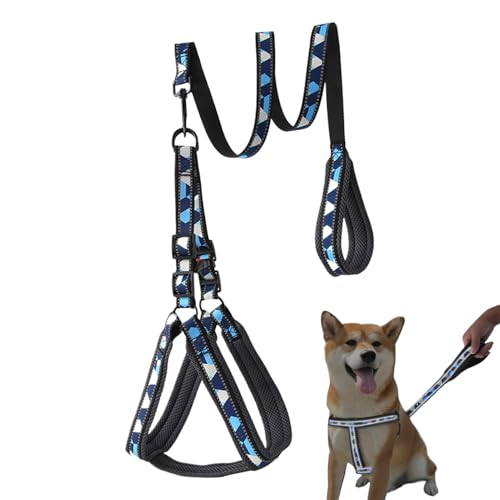 Mimoqk Hundegeschirr mit Leine | Reflektierende Leine mit Zug für Welpen – verstellbar und atmungsaktiv für große Rassen und mittelgroße Hunde, zum Training, Spazierengehen und Mimoqk Hundegeschirr mit Leine | Reflektierende Leine mit Zug für Welpen – verstellbar und atmungsaktiv für große Rassen und mittelgroße Hunde, zum Training, Spazierengehen und von Mimoqk