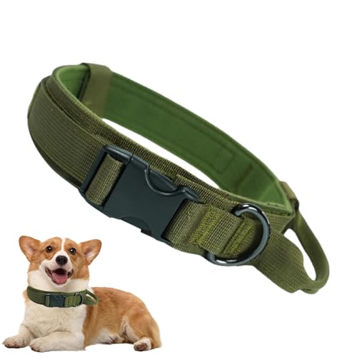 Mimoqk Hundehalsband, Hundehalsband, verstellbares Hundehalsband, verstellbares Hundehalsband aus Nylon, bequeme Haustierhalsbänder für sicheres Training für mittelgroße und von Mimoqk