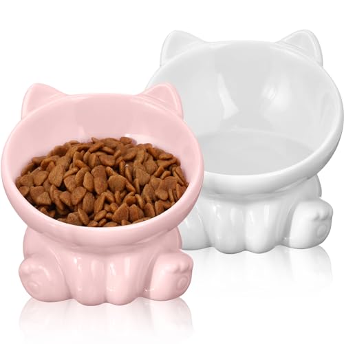 Mimorou Erhöhte Katzennäpfe aus Keramik, erhöhter Futternapf, 15 Grad geneigt, Anti-Erbrechen, Rückfluss-Prävention, schräge Katzenfutternäpfe (Rosa, Weiß), 2 Stück von Mimorou