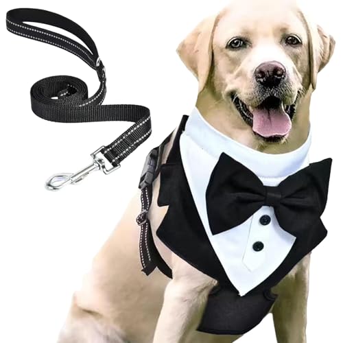 Hochzeitsoutfit für Hunde, Hochzeitskleidung für Hunde,Hochzeits-Fliege-Shirt mit Zugseil | Hunde-Outfit, Hochzeitskleidung, formeller für Hunde, Welpenkleidung für formelle Anlässe von Mingchengheng