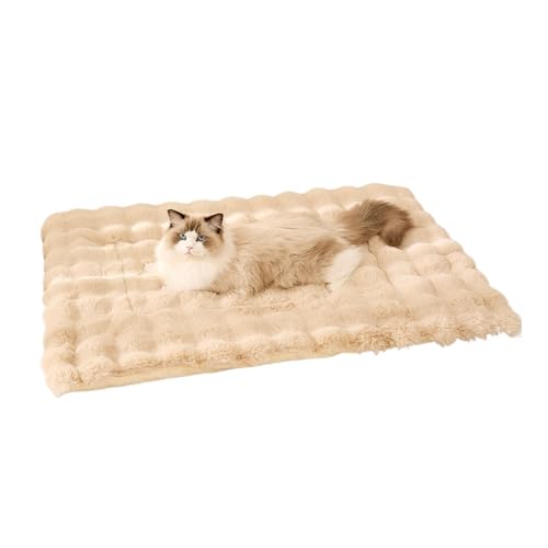 Mingchengheng Hundebett Matte | Haustierbettmatte | 50 x 30 cm Plüsch-Couchauflage Für Katzen,Warme Thermo-Haustierunterlage, Maschinenwaschbare Weiche Warme Haustiermatte Für Drinnen Und Draußen von Mingchengheng