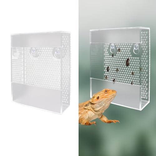 Acryl Reptilien Feeder mit Saugnäpfen, Wandmontierter Bartdrachen Futternapf, Tankzubehör für Bartagame, Gecko, Chamäleon, Frosch von MinrzPet