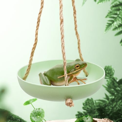 MinrzPet Kunststoff Frosch Schaukel Spielzeug mit Saugnapf, Frosch Lebensraum Plattform, Reptilien Dekorationen für Terrarium, Frosch Tank Zubehör, Terrarium Dekor für Baumfrosch, Afrikanischer von MinrzPet