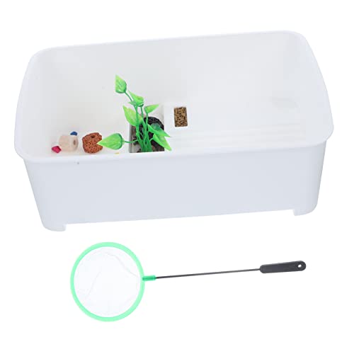 Mipcase 1 Satz Schildkröten-Terrarium Schildkrötenbecken Starter-kit Reptichip Schildkröten-Aquarium Lebensraum Für Reptilien Reptilienbecken Plastik Kriechen Schildkrötenbox von Mipcase