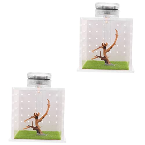 Mipcase Spinnen 2 Sets Tank Vogelspinnen Reptilien Terrarium Mit Design Kleines Licht Zum Schneckenschlüpfen Vogelspinnen Füttern Grillen Klarer Lebensraum Fall Mini Spinne Gecko von Mipcase