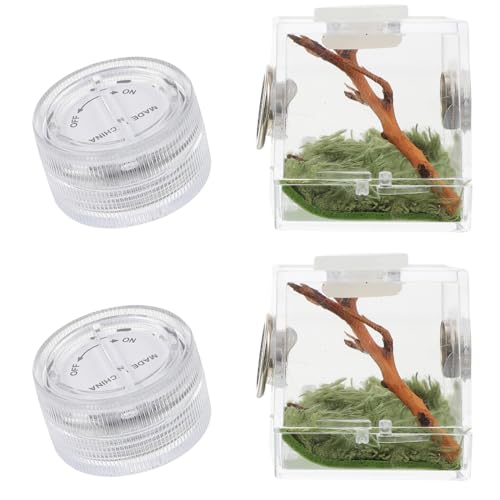 Mipcase 2 Stück Box Springspinnen Zuchtbox Mikro-Habitat Terrarien Schneckenlebensraum Käfig Spinne Terrarium Spinnenträger Spinne Landschaft Käfig Reptilien Kleine Spinne Holzkiste von Mipcase