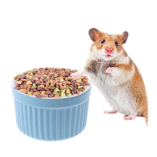 Mipcase 2st Hamsternapf Schalenhamster Hundenäpfe Aus Edelstahl Kleiner Katzennapf Hamsterschale Für Haustiere Futterspender Für Haustiere Futternapf Für Hamster Welpenschüssel Keramik von Mipcase