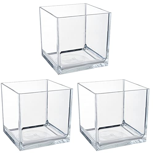 Mipcase 3st Mini-Aquarium Zierbehälter Klares Pflanzenterrarium Tischaquarium 5-gallonen-Aquarium 5-gallonen-Tank Fischglas 20-gallonen-Tank Terrarien Meeresschildkröte STK Klein von Mipcase