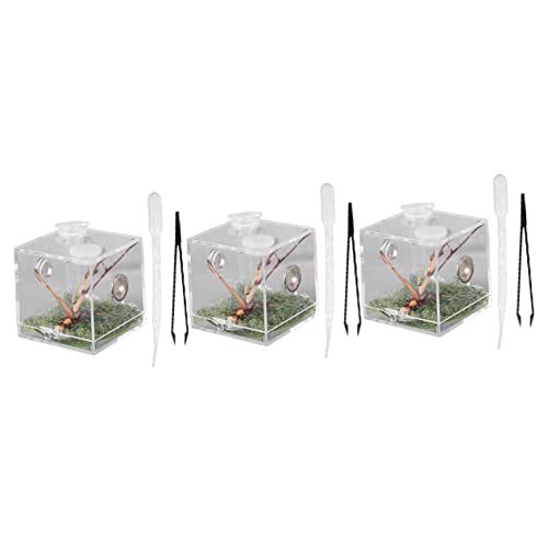 Mipcase 3er-Box Springspinnen-zuchtbox Klettern Haustier Terrarium Behälter Für Lebensmittel Gecko-lebensraum Einsiedlerkrebshaus Spinnenbehälter Reptilfall Mini Landschaftsbox Acryl von Mipcase