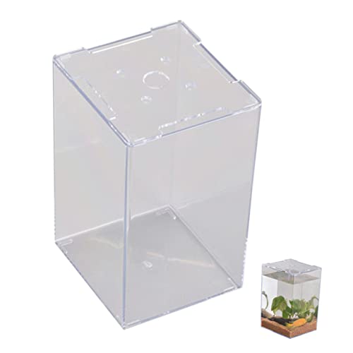 Mipcase Betta-Aquarium Randloses Aquariumbecken Fischglas- Zubeh?r Fish Zubeh?r Für Becken Stapelbares - Aquarium Desktop- Aquarium Stapelbares Aquarium Haushalt Acryl Kleines Fischbecken von Mipcase