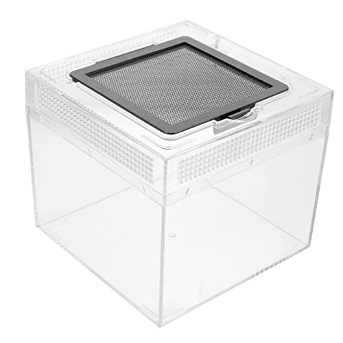 Mipcase Terrarium Für Schnecken Critter Keeper Box Für Eidechsen Isopoden Behälter Eidechsen Lebensraum Züchter Behälter Tragbar Zuchtkäfig Häuser Schildkröte Transparent Gehegepfleger von Mipcase