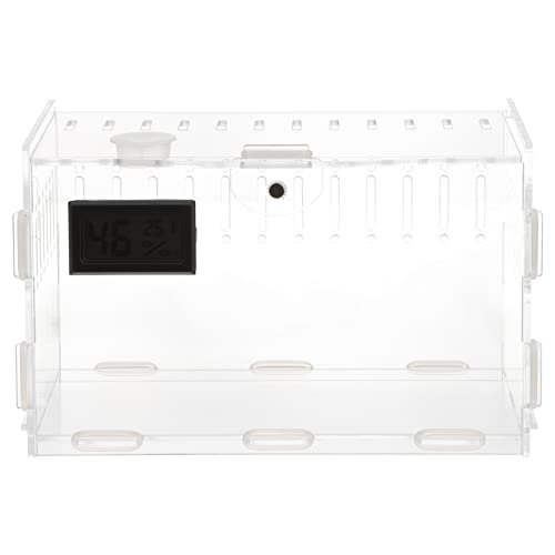 Mipcase Kasten Eidechsen Terrarium Tank Reptivit Einsiedlerkrebsschale Klein Cricket-Container Acryltank Luftdicht Scharnierdeckel Für 20-gallonen-tank Gecko-tank Schildkrötenbecken Glas von Mipcase