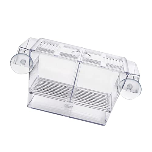 Mipcase Aquarium Netz Brüterei Ausbrüten Transparent Weiß Praktisches Züchterwerkzeug Trennwand Eiaufzuchtbecken Acryl Aquarium Mit Behälter Inkubatorzubehör Guppy Babyfisch Eingewöhnung von Mipcase