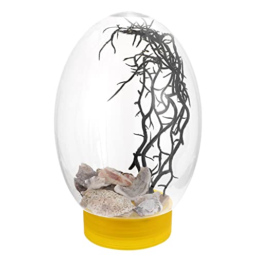 Mipcase Desktop-Aquarium Mini Ökologische Fischbräune Behälter Für Goldfische Betta-Aquarium Geführtes Mini-Aquarium Desktop Ökologisch Klarglas-Aquarium Terrarium Klein Wassertank Plastik von Mipcase